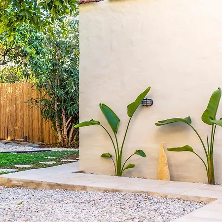 Le Nid The Nest Of Beauty 干尼亞